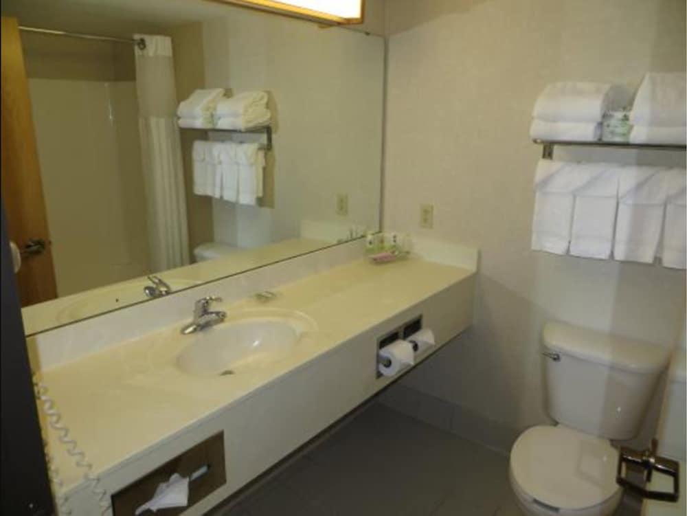 Country Inn & Suites By Radisson, Lansing, Mi Kültér fotó